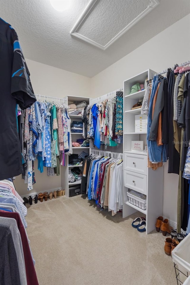 15241 Sunrise Grove Ct, Winter Garden, FL 34787 - walk in closet with attic access and carpet flooring