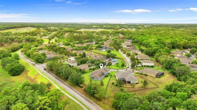 6234 Tremayne Dr, Mount Dora, FL 32757 - photo 33