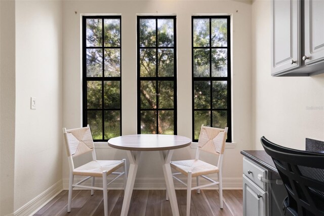 500 Mirasol Cir Unit 203, Celebration, FL 34747 - dining space featuring wood finished floors, baseboards, and healthy amount of natural light