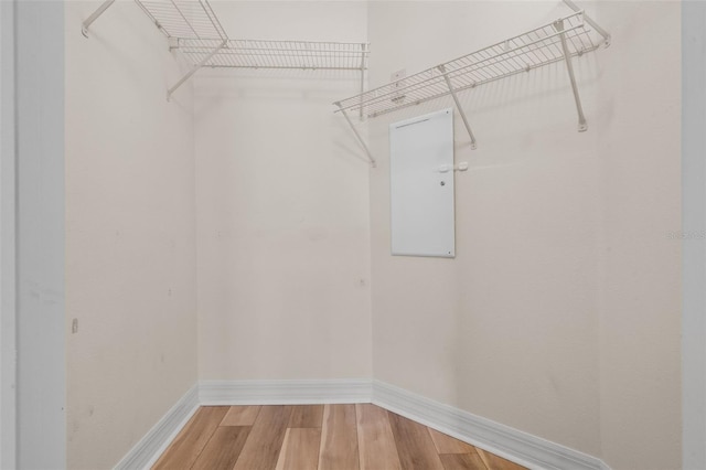 500 Mirasol Cir Unit 203, Celebration, FL 34747 - spacious closet with light wood-type flooring