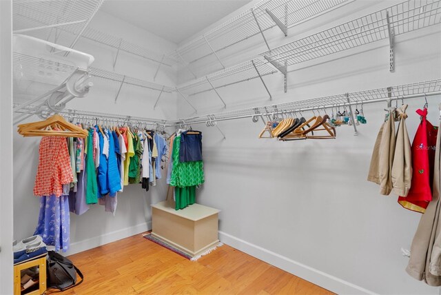 3372 Bellington Dr, Orlando, FL 32835 - walk in closet with wood finished floors