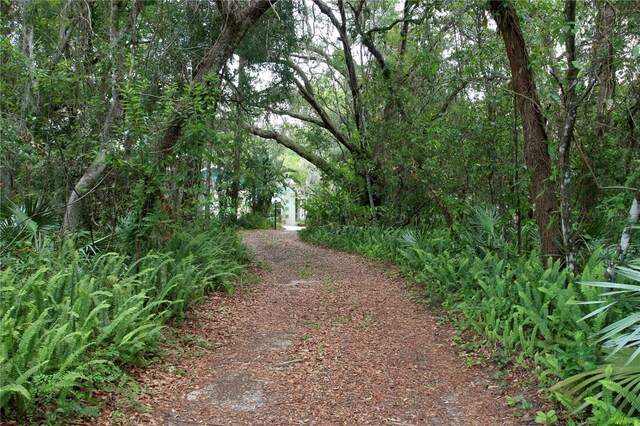 1405 Periwinkle Ave, Deland, FL 32724 - photo 8