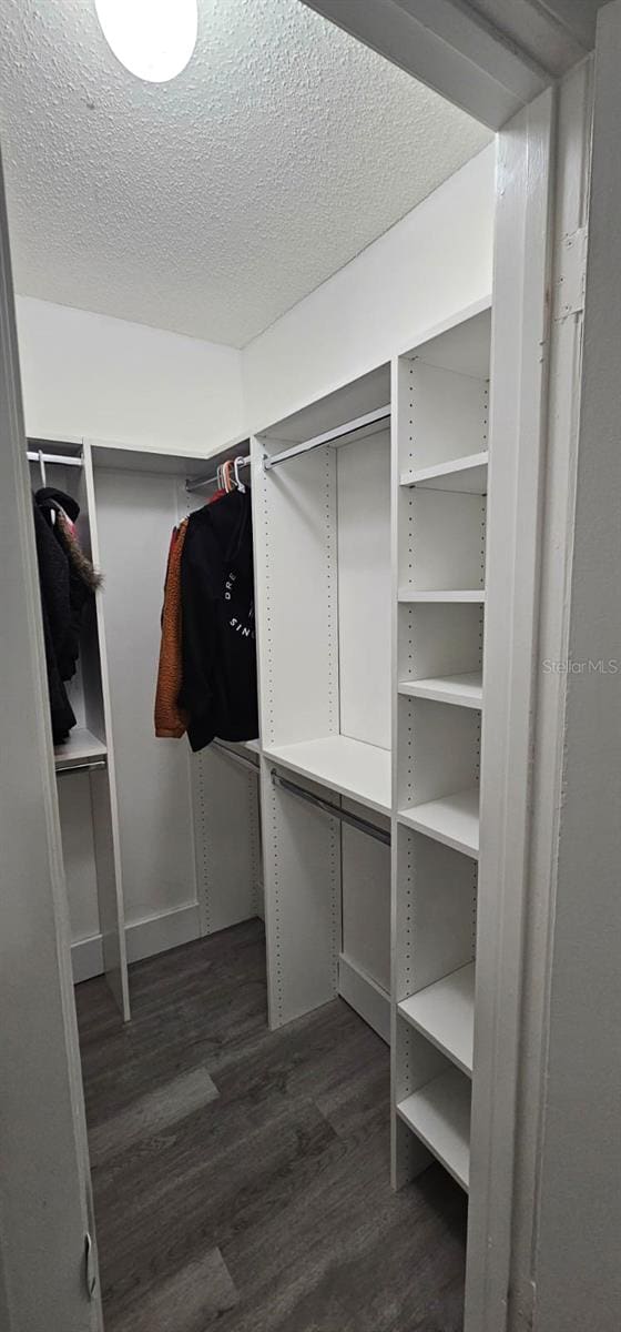 320 Forestway Cir Unit 107, Altamonte Springs, FL 32701 - walk in closet with dark wood-style floors