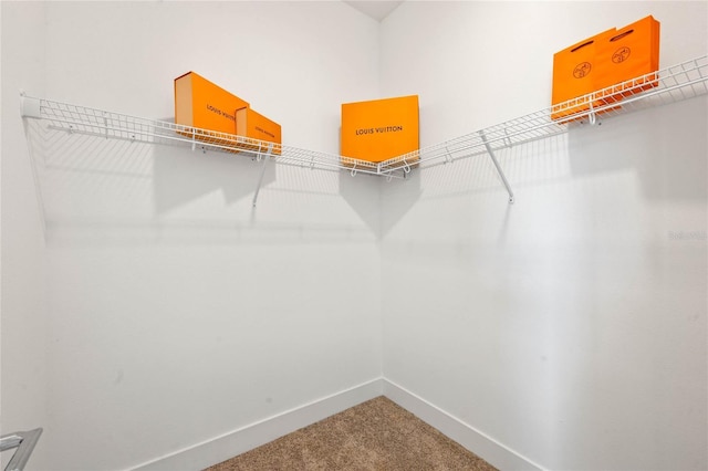 52 W Harding St Unit A, Orlando, FL 32806 - walk in closet featuring carpet flooring
