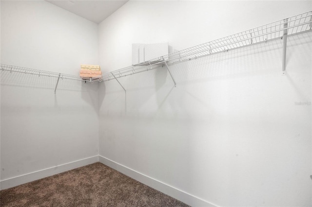 52 W Harding St Unit A, Orlando, FL 32806 - spacious closet with carpet flooring