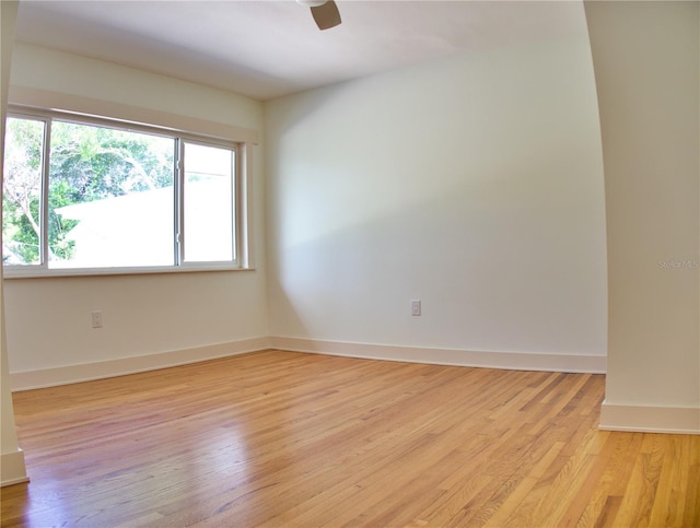 1510 Live Oak St, New Smyrna Beach, FL 32168 - photo 29