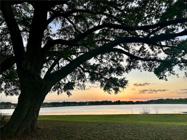 16729 Tall Grass Ln, Clermont, FL 34711 - water view
