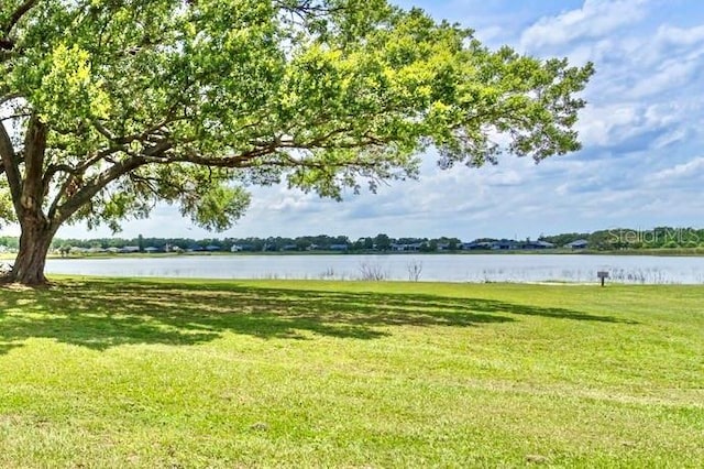 16729 Tall Grass Ln, Clermont, FL 34711 - water view