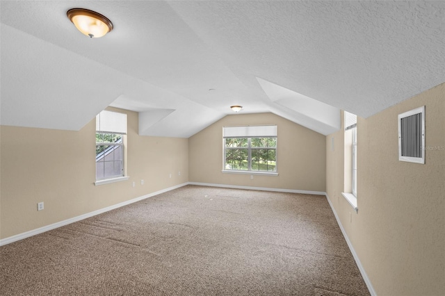 16729 Tall Grass Ln, Clermont, FL 34711 - additional living space with carpet flooring, vaulted ceiling, and a textured ceiling