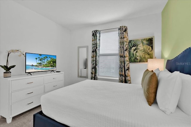9239 Sommerset Hills Dr, Davenport, FL 33896 - bedroom with carpet flooring