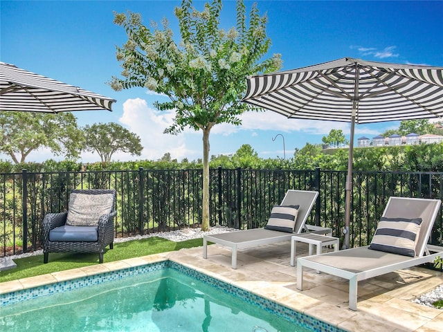 16246 Ravenna Ct, Montverde, FL 34756 - view of swimming pool with a patio