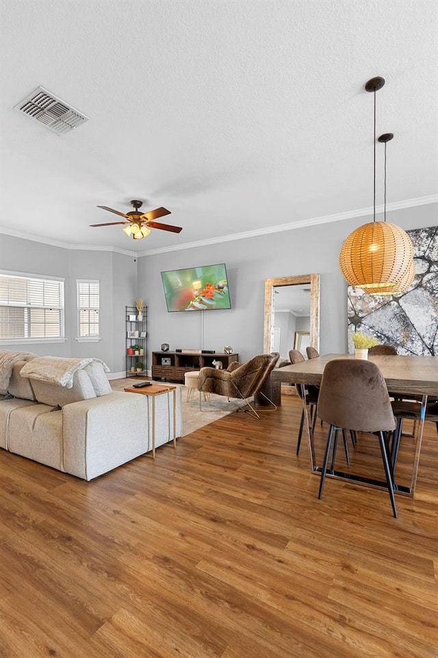 17404 Chateau Pine Way, Clermont, FL 34711 - living room with ornamental molding, wood finished floors, a textured ceiling, and ceiling fan