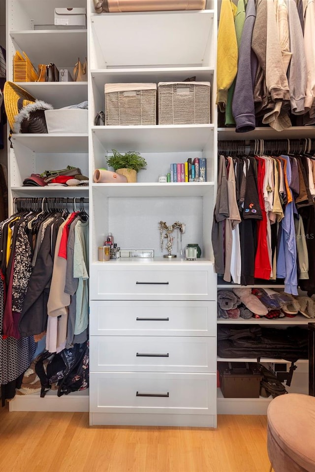 17404 Chateau Pine Way, Clermont, FL 34711 - view of closet