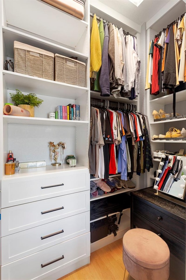 17404 Chateau Pine Way, Clermont, FL 34711 - spacious closet featuring light wood-style floors