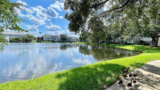 water view