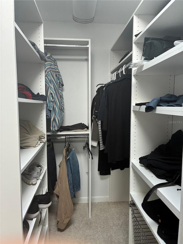 116 Oakmont Ln, New Smyrna Beach, FL 32168 - spacious closet featuring carpet