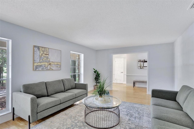 140 Sweet Bay Cir, Lake Mary, FL 32746 - living room with plenty of natural light, wood finished floors, and a textured ceiling