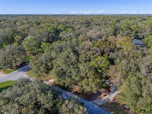 140 Sweet Bay Cir, Lake Mary, FL 32746 - bird's eye view of a forest