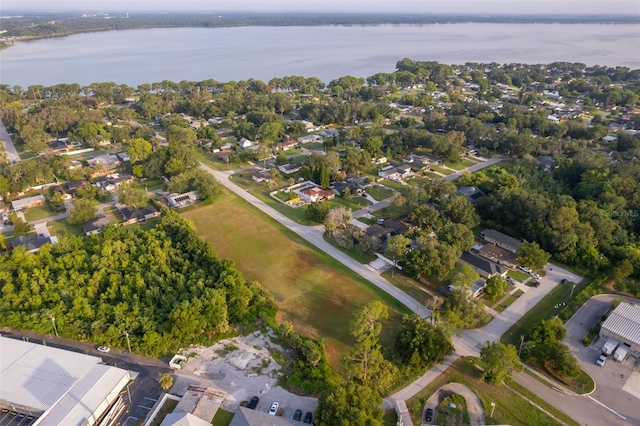 N Texas Ave, Tavares, FL 32778 - photo 3