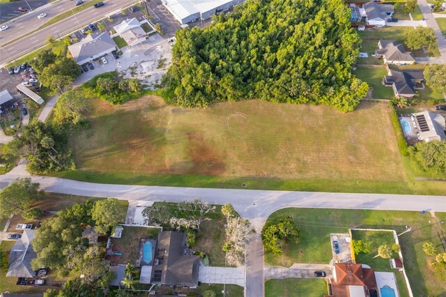 N Texas Ave, Tavares, FL 32778 - photo 12