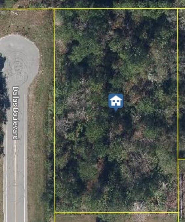 Dallas Blvd, Orlando, FL 32833 - photo 1