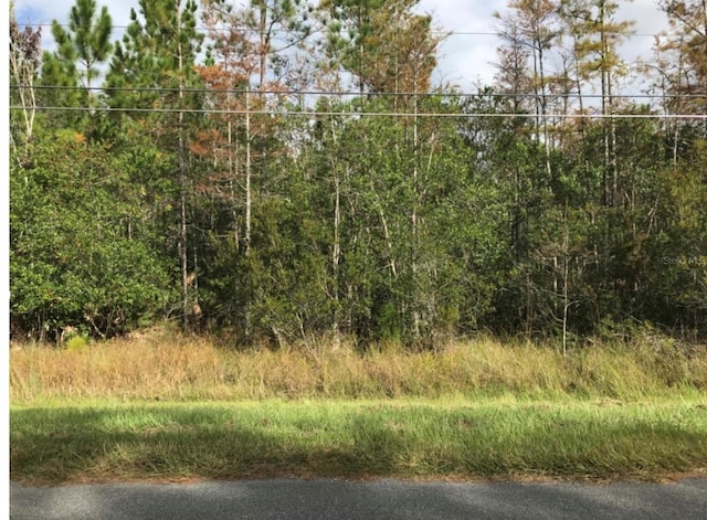Robertson St, Orlando, FL 32833 - photo 1
