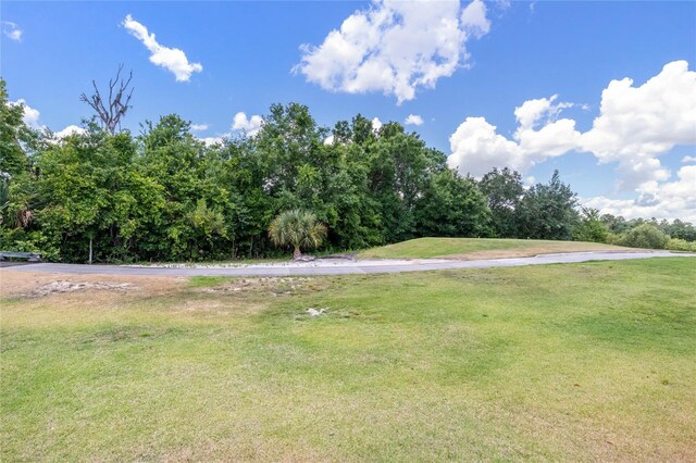 796 Desert Mountain Ct, Reunion, FL 34747 - photo 35