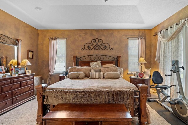 3551 Statham Dr, Apopka, FL 32712 - carpeted bedroom with multiple windows
