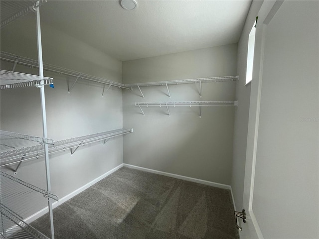 1354 Twelve Oaks Rd, Saint Cloud, FL 34771 - photo 25