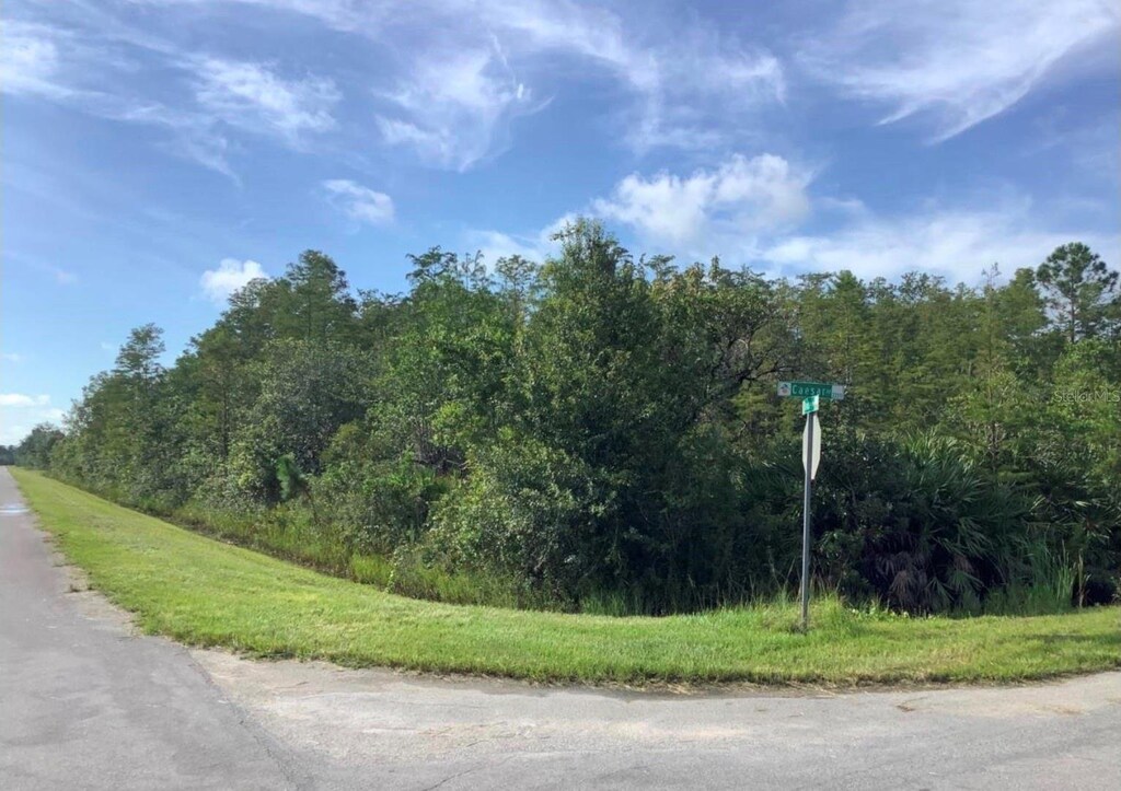 Caesar Ave, Orlando, FL 32833 - photo 1