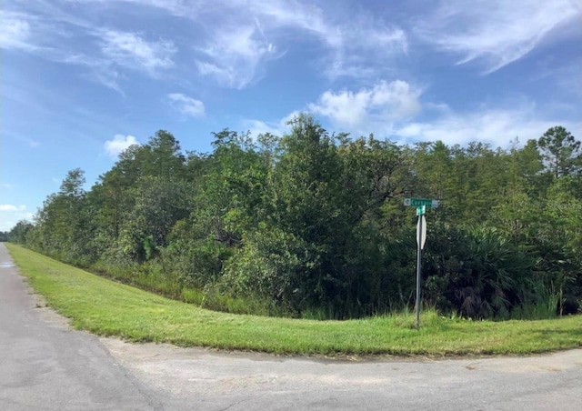 Caesar Ave, Orlando, FL 32833 - photo 1