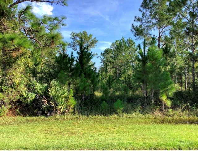 Sabal St, Orlando, FL 32833 - photo 1