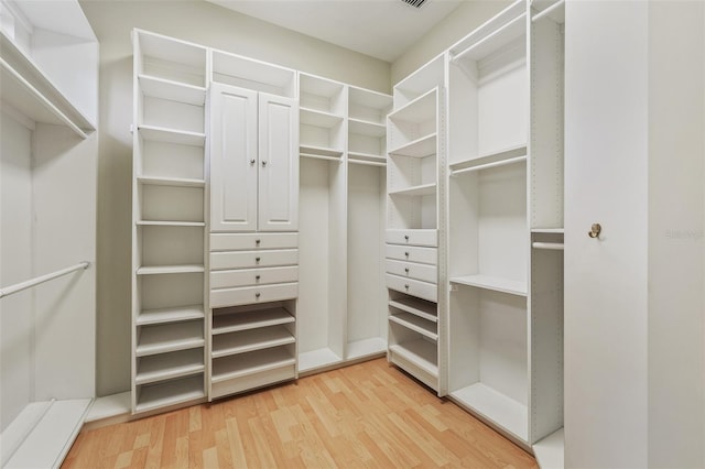 1542 Islay Ct, Apopka, FL 32712 - walk in closet with light wood finished floors