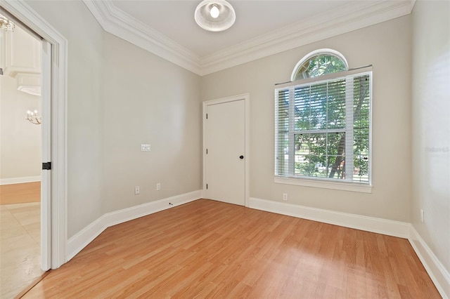 1542 Islay Ct, Apopka, FL 32712 - empty room with light wood-style flooring, ornamental molding, healthy amount of natural light, a chandelier, and baseboards
