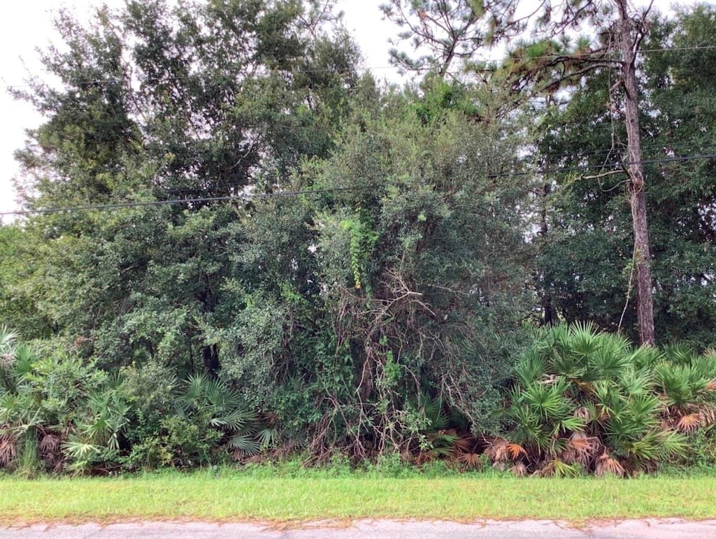Odham St, Orlando, FL 32833 - photo 1