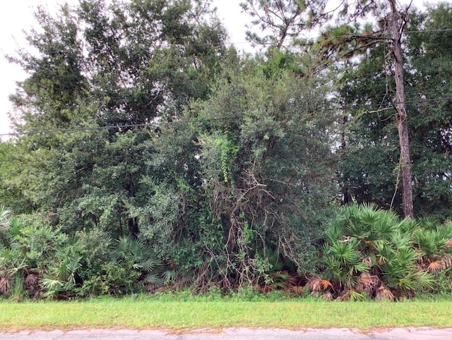 Odham St, Orlando, FL 32833 - photo 1