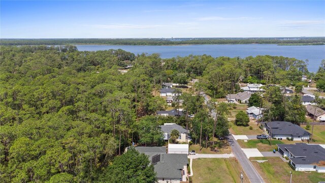 14612 Bray Rd, Orlando, FL 32832 - photo 48