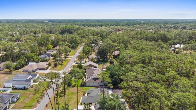 14612 Bray Rd, Orlando, FL 32832 - photo 49
