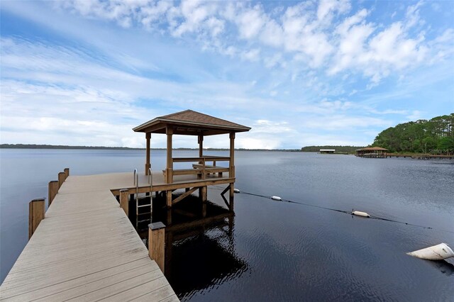 14612 Bray Rd, Orlando, FL 32832 - photo 56