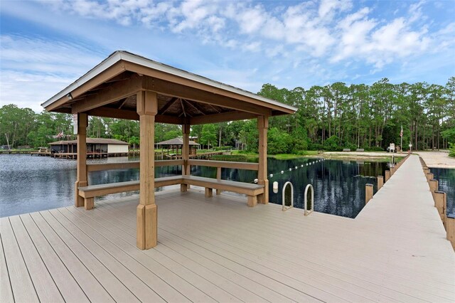 14612 Bray Rd, Orlando, FL 32832 - photo 57