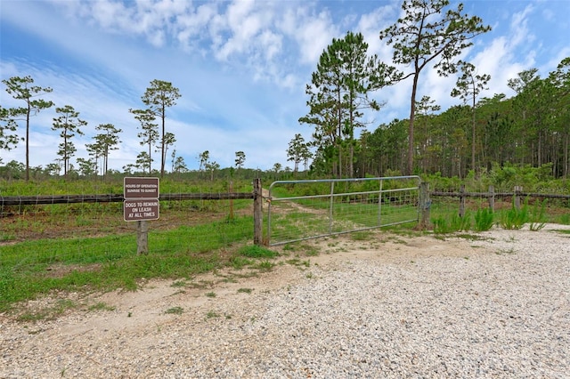 14612 Bray Rd, Orlando, FL 32832 - photo 69