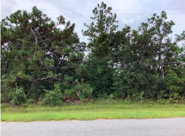 Oberly Pkwy, Orlando, FL 32833 - photo 1