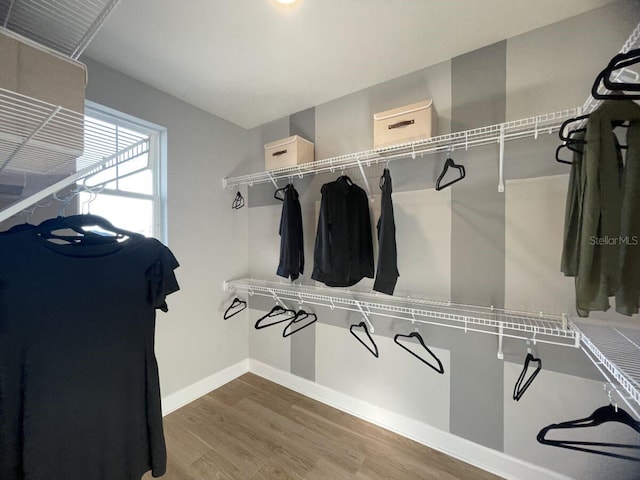 1341 Lumpini St, Saint Cloud, FL 34771 - walk in closet featuring wood finished floors