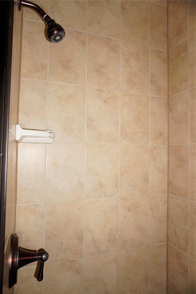 1320 NW 3rd Ave Unit 238, Gainesville, FL 32603 - bathroom view of tiled shower