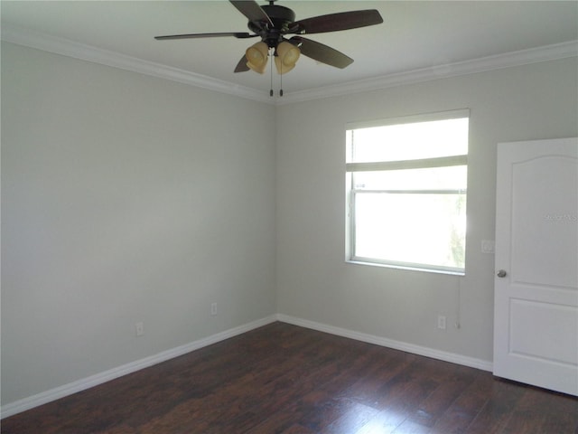 2451 Strandhill St, Orlando, FL 32824 - empty room featuring dark wood-type flooring, ornamental molding, baseboards, and ceiling fan