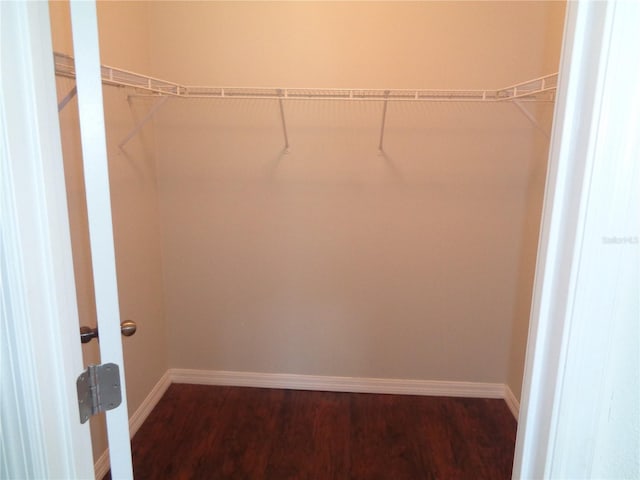 2451 Strandhill St, Orlando, FL 32824 - spacious closet with dark wood-style floors