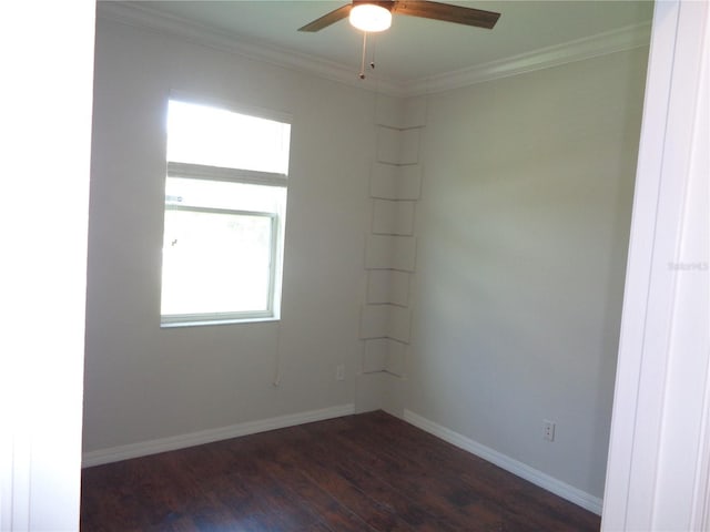 2451 Strandhill St, Orlando, FL 32824 - spare room featuring dark wood-style floors, plenty of natural light, a ceiling fan, crown molding, and baseboards