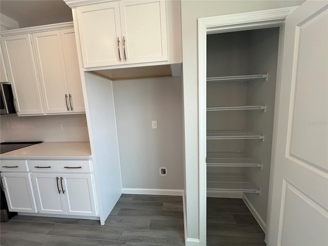 1356 Lumpini St, Saint Cloud, FL 34771 - view of pantry