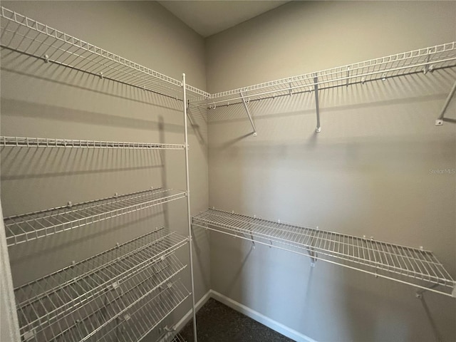 1356 Lumpini St, Saint Cloud, FL 34771 - view of spacious closet