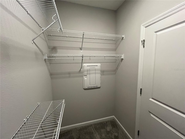1356 Lumpini St, Saint Cloud, FL 34771 - walk in closet with carpet